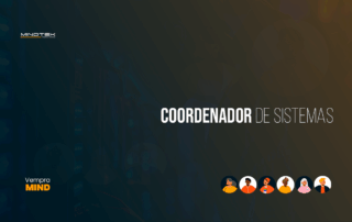 Coordenador de Sistemas